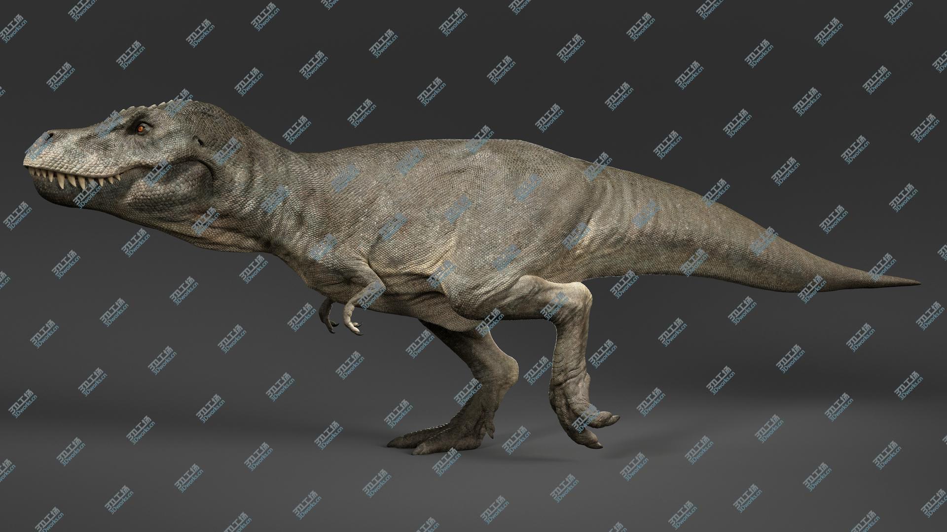 images/goods_img/20210319/3D Tyrannosaurus Rex Rigged/4.jpg